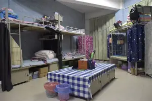 科维托娃来袭!换人、点球引热议(科维托娃迈阿密)